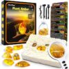 GobiDex Plant Amber Dig Kit, Science Kits for Kids Age 6-8-12, Dig Up 6 Artificial Resin Specimens, STEM Fun Activities Educational Science Kit Toys, Archaeology Birthday Gifts for Boys and Girls