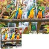 BunMo 1000 Piece Puzzle for Adults. Puzzles for Adults 1000 Piece - Birds of Paradise - Jigsaw Puzzles 1000 Pieces Games for Adults. 1000 Piece Puzzles for Adults.