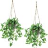 TNNTOPELE Fake Hanging Plants with Pots, 2 Pack Artificial Faux Anthurium Leaf Hanging Basket Plant for Wall Home Room Indoor Outdoor Decor