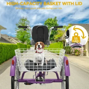 Dextrus Adult Tricycle, 24 Inch 3 Wheel Bikes, 1 Speed Trike Bike for Adults with Removable Baskets, Cruiser Bike for Seniors Women Men Shopping Picnic Outdoor Sports, Purple