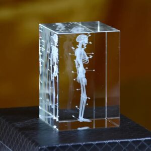 3D Scientific And Educational Solid Crystal Laser Engraving Bone Model Decoration