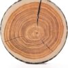 HYSEAS Decorative Round Throw Pillow, 3D Digital Print Comfortable Kids Funny Cute Wood Log Pillow Circle Seating Floor Cushion for Home, Couch, Sofa, Bedroom, Living Room Decor, Stump