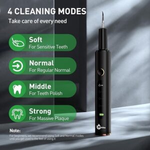 Plaque Remover for Teeth - Tartar Remover for Teeth, Dental Calculus Remover Teeth Cleaning Kit，4 Speed Modes with 4 Replaceable Heads ，IPX6 Waterproof with LED Light